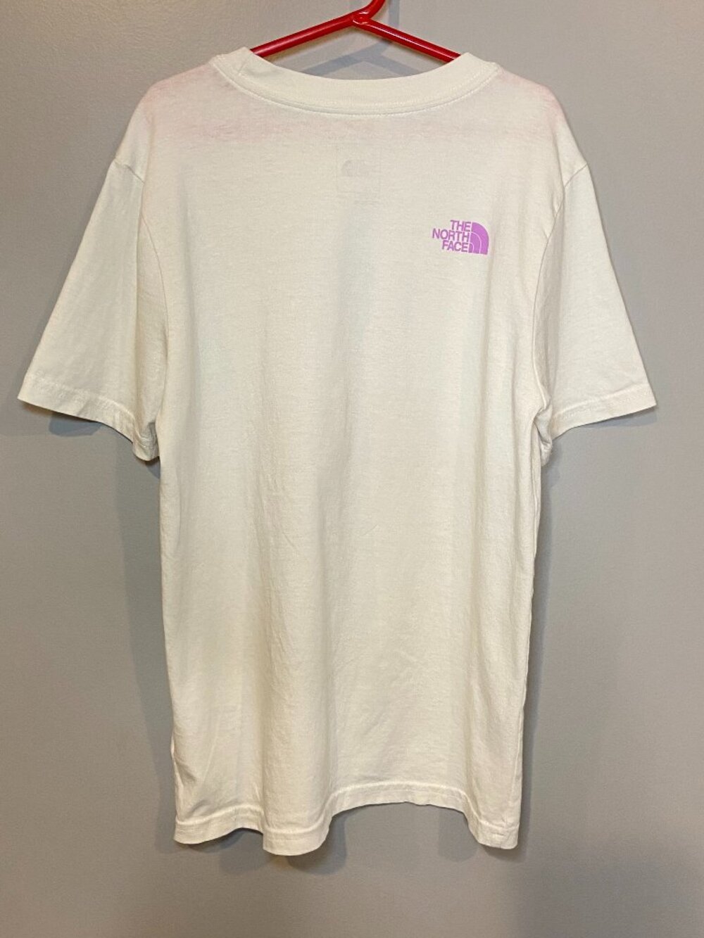 The North Face Boys Landscape Graphic T-Shirt Size Large 100% Cotton - Picture 2 of 8